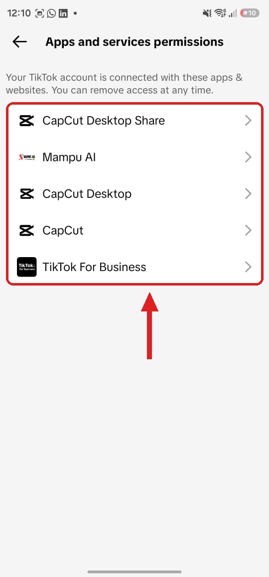 Connected apps list in the TikTok app