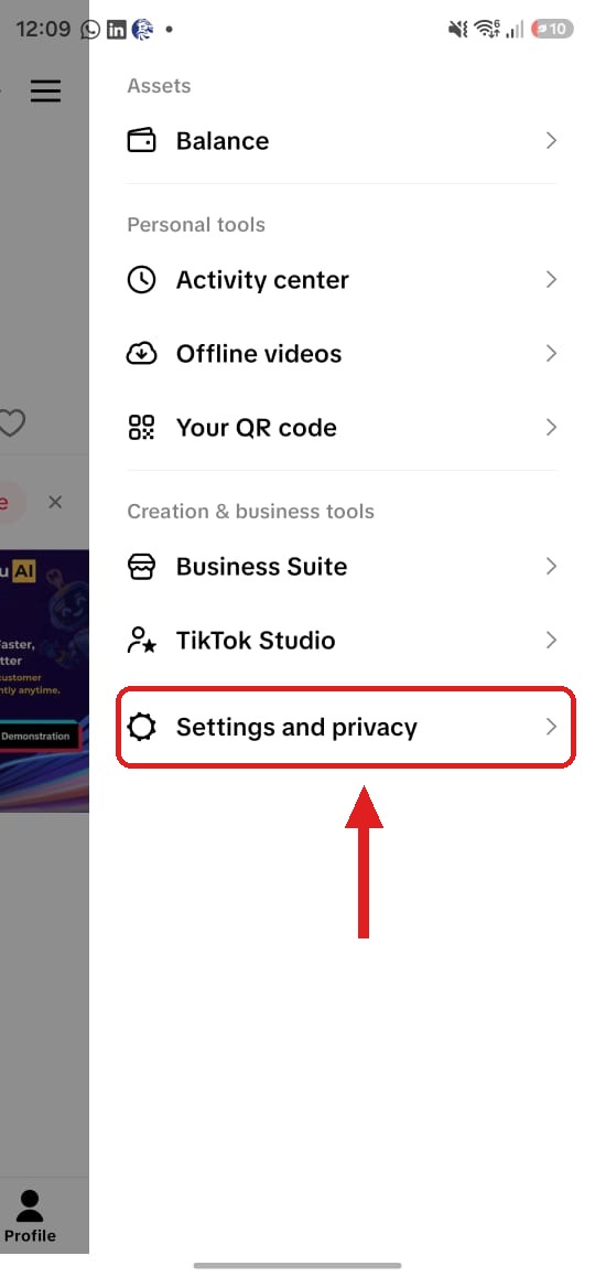 TikTok profile menu with Settings and privacy highlighted